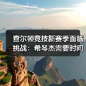 查尔顿竞技新赛季面临挑战：希琴杰需要时间适应-图4